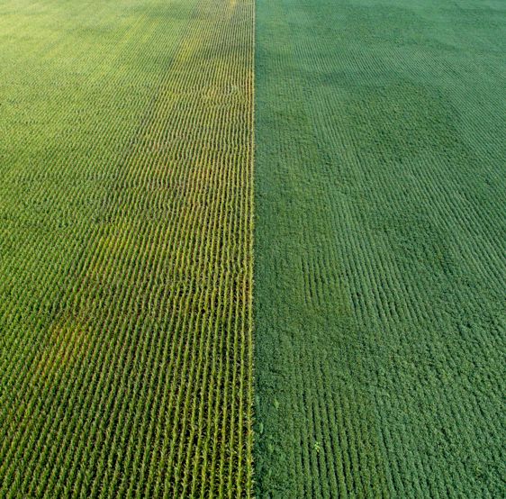 Maximizing Yields in
