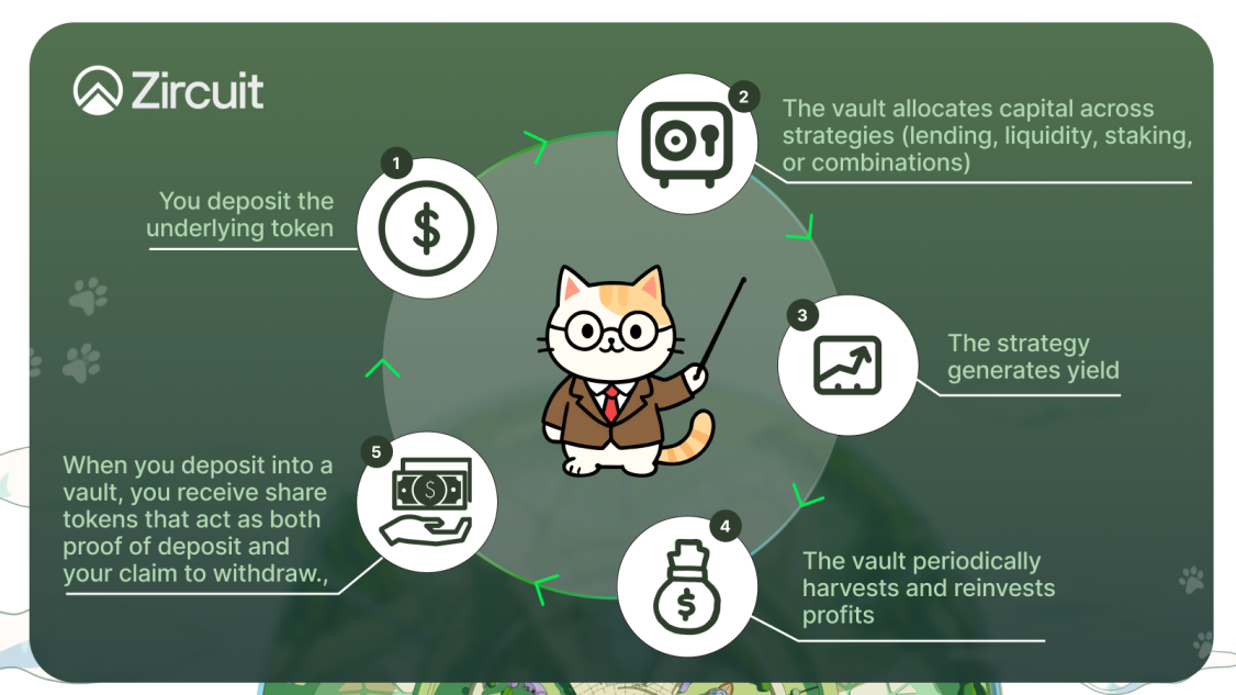 DeFi options vaults
